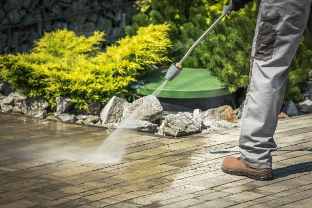 Best Solar Panel Cleaning  in North Great River, NY